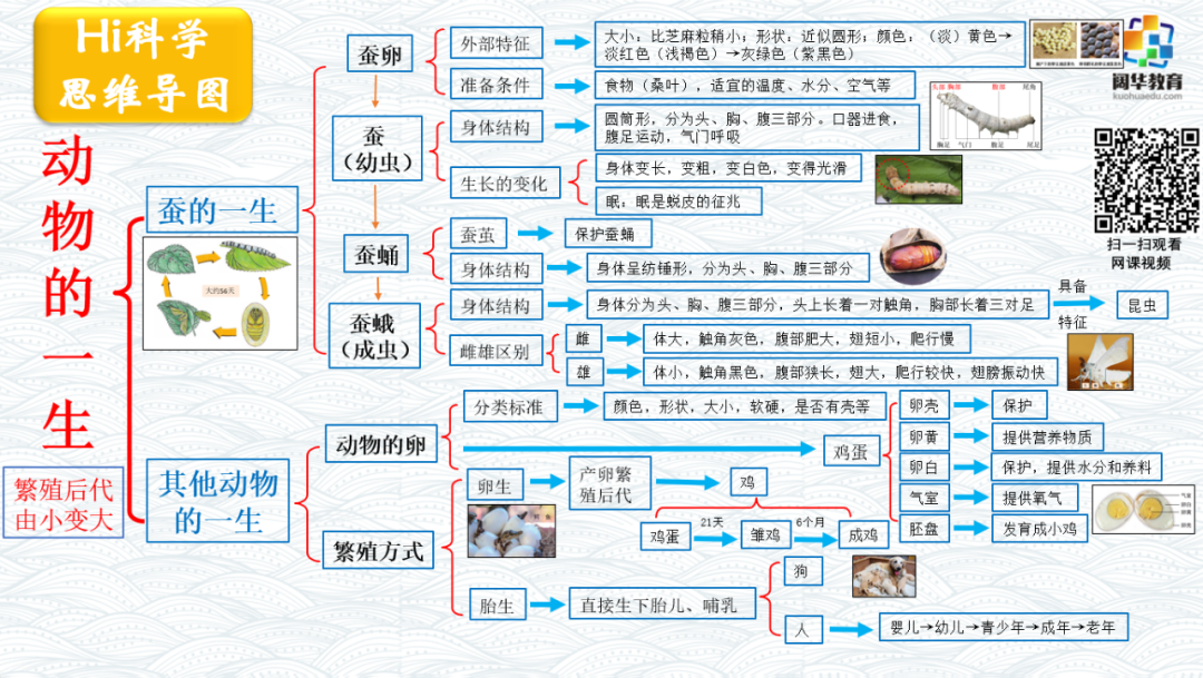 小学科学3-6年级思维导图 第2张