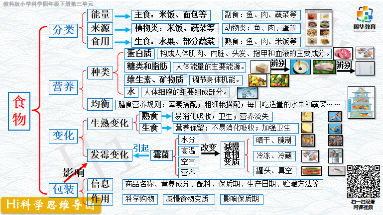 小学科学3-6年级思维导图 第6张