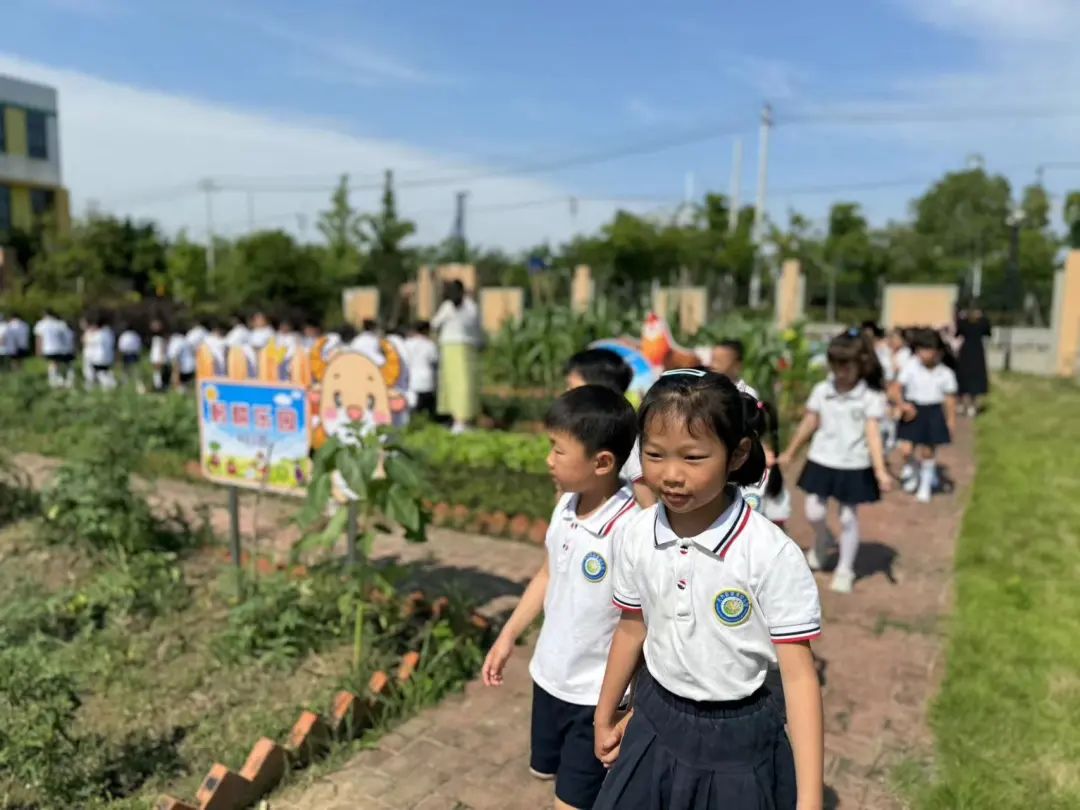 【幼小衔接】走进小学,体验成长——无为市南惠幼儿园教育集团本部大班组参观小学活动 第107张