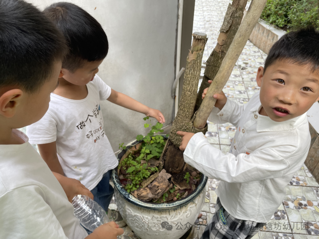 小学初体验  衔接零距离 ——塘坊幼儿园幼小衔接之走进小学实践活动 第34张