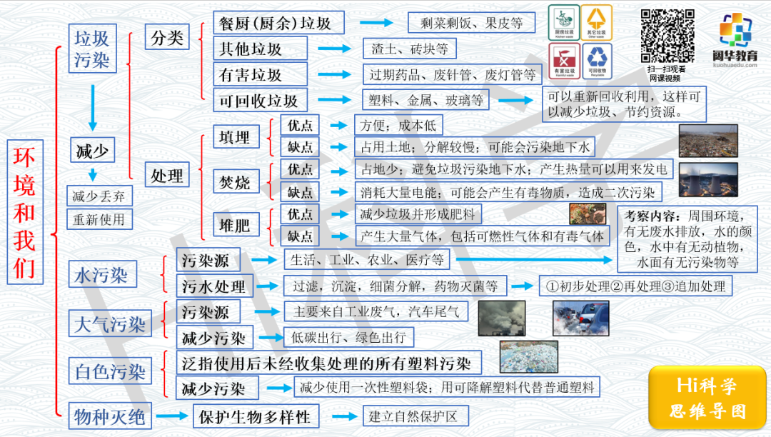 小学科学3-6年级思维导图 第15张