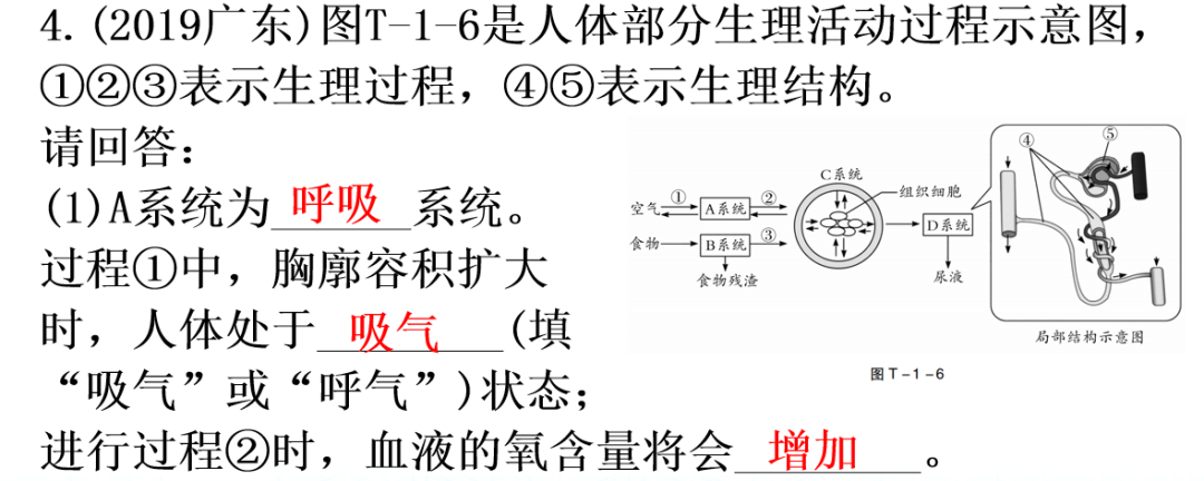 【中考生物】中考题型+解题技巧分析→读题理解 第28张