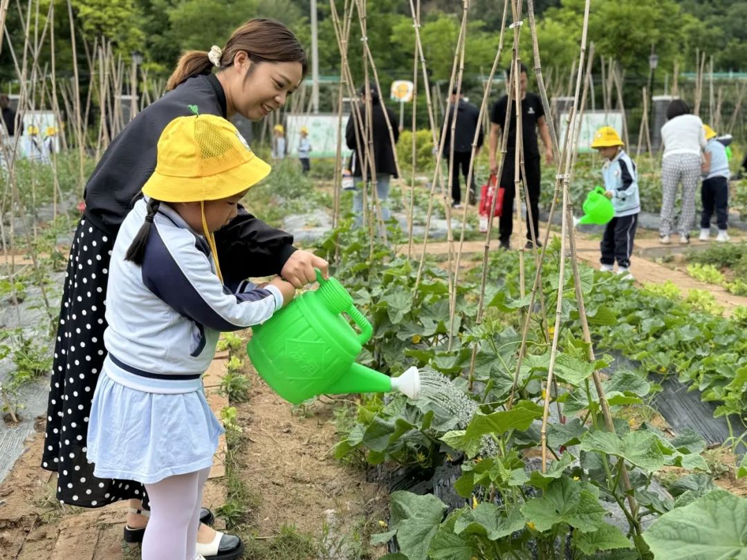 【“趣”探小学 “幼”见成长】—六幼爱之堡幼小衔接系列活动(二) 第39张