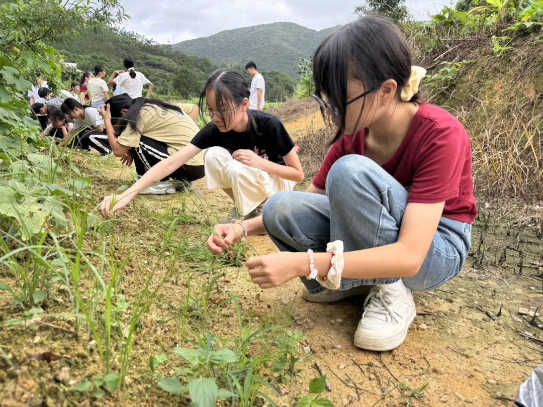 志当存高远 无愧梦少年——名智小学六年级毕业暨庆“六一”研学游 第32张