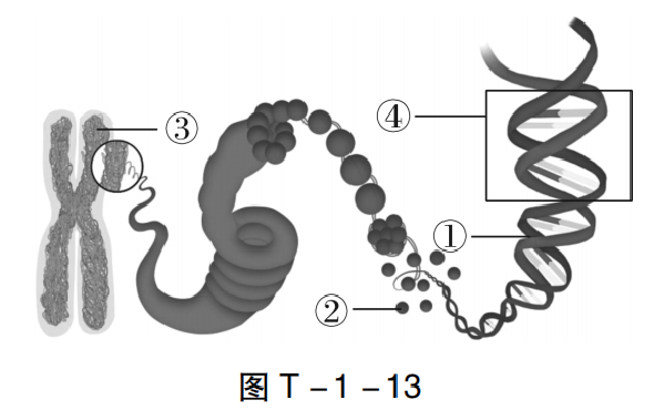 【中考生物】中考题型+解题技巧分析→读题理解 第60张