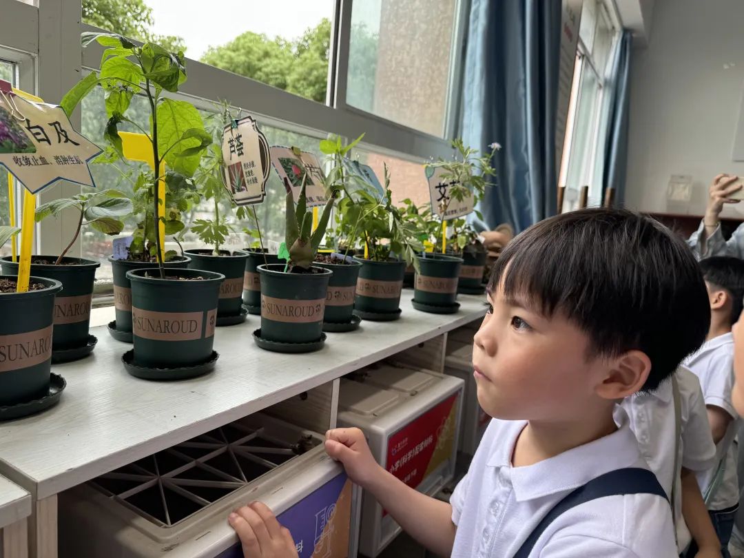 扬帆学海|儿童友好:小学初体验 衔接促成长——石帆一小牵手石帆朴湖幼儿园幼小衔接活动 第37张