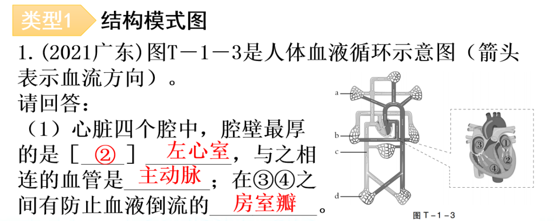 【中考生物】中考题型+解题技巧分析→读题理解 第14张