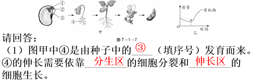 【中考生物】中考题型+解题技巧分析→读题理解 第31张