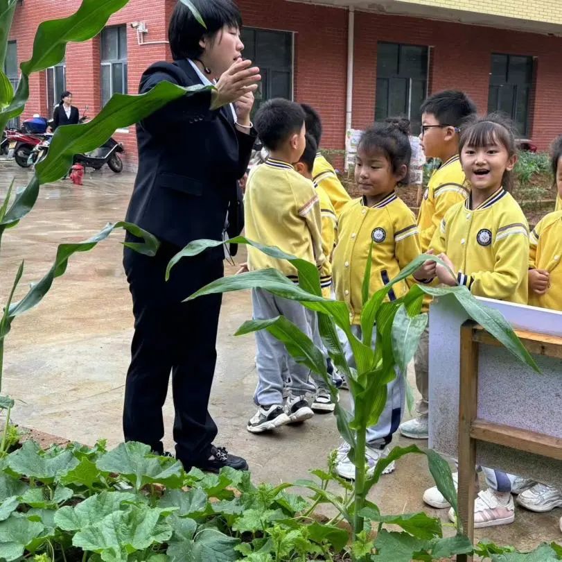 【幼小衔接】 初探小学 衔接成长 第22张