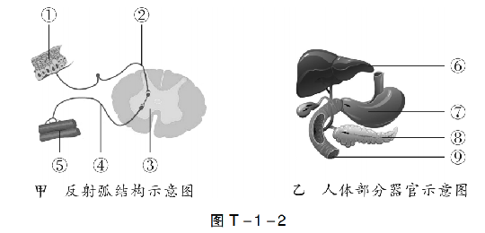 【中考生物】中考题型+解题技巧分析→读题理解 第7张