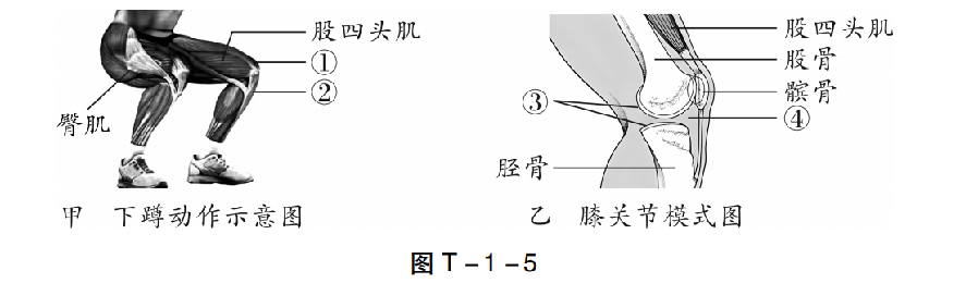 【中考生物】中考题型+解题技巧分析→读题理解 第23张