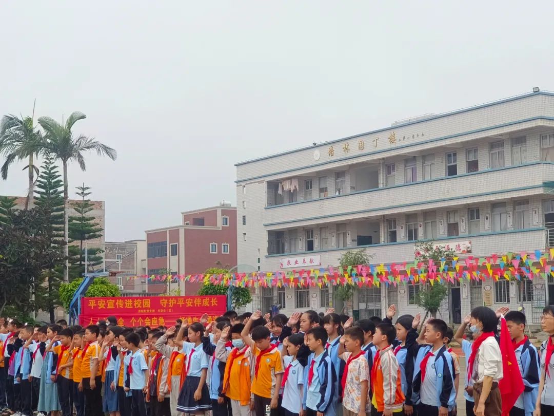 铭记历史 警钟长鸣 西坑村携手西坑小学组织开展“6·3”虎门销烟纪念日禁毒宣传活动 第2张