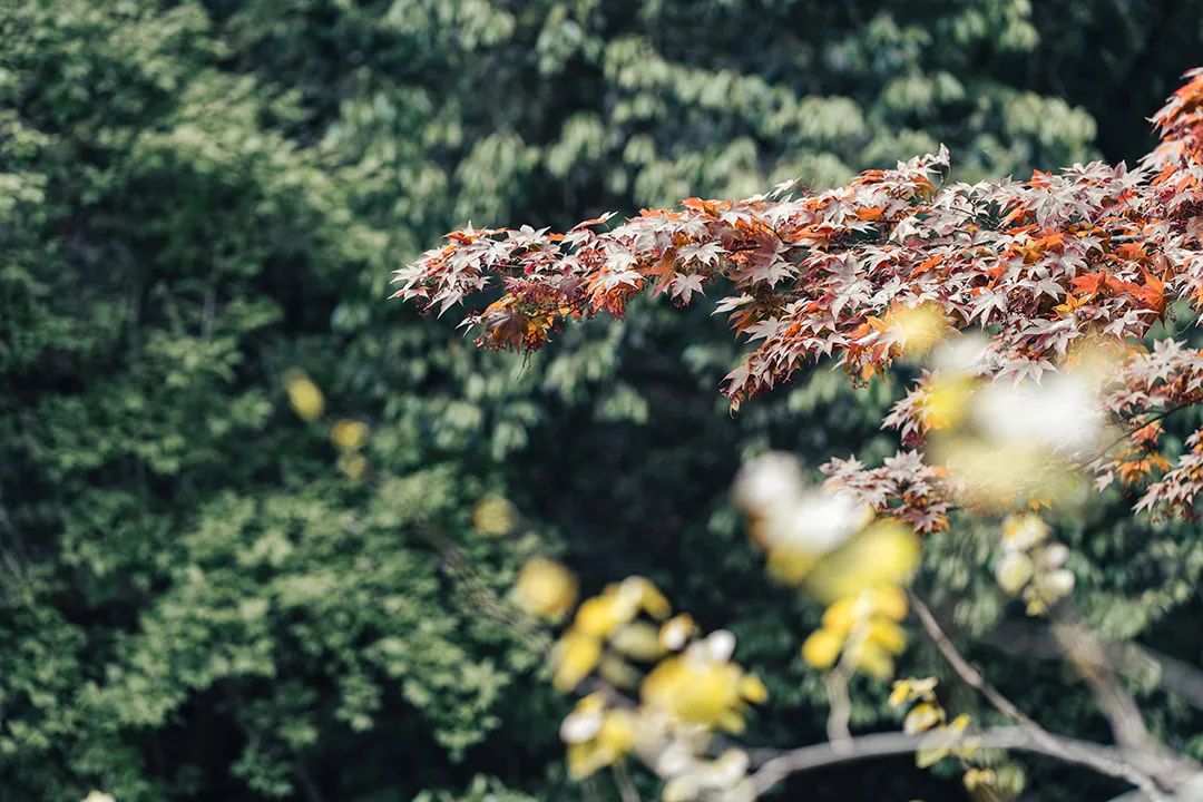 中考考前心理调试 赵闻瑛 第6张