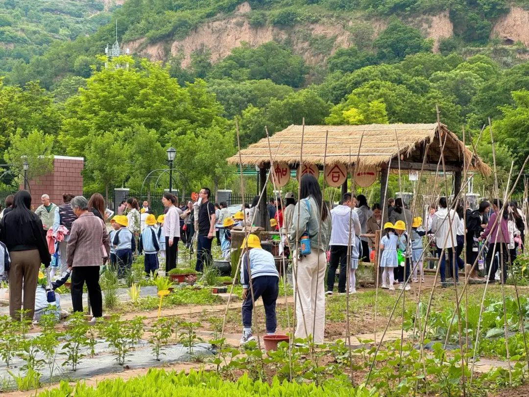 【“趣”探小学 “幼”见成长】—六幼爱之堡幼小衔接系列活动(二) 第37张