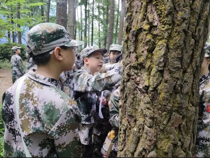 加强劳动教育,争做时代少年——记东园小学五年级学农劳动实践活动 第43张