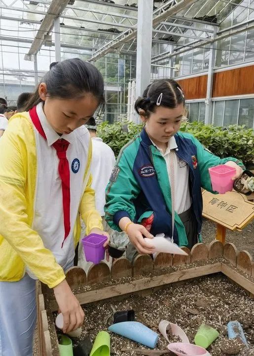 加强劳动教育,争做时代少年——记东园小学五年级学农劳动实践活动 第54张