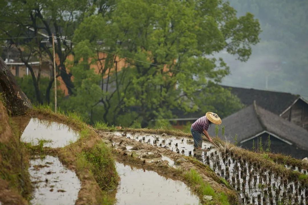 高考结束后,千万不要来一场说走就走的旅行!!高中毕业生可领取最高500元优惠 第17张