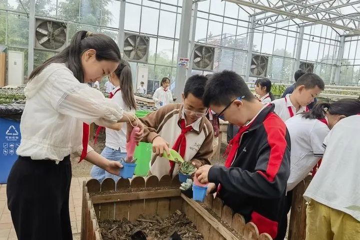 加强劳动教育,争做时代少年——记东园小学五年级学农劳动实践活动 第53张