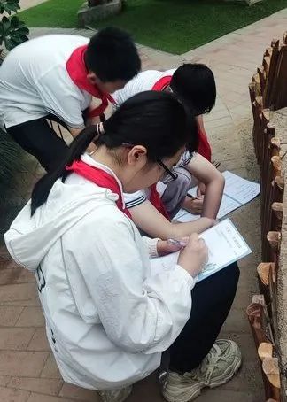 加强劳动教育,争做时代少年——记东园小学五年级学农劳动实践活动 第51张