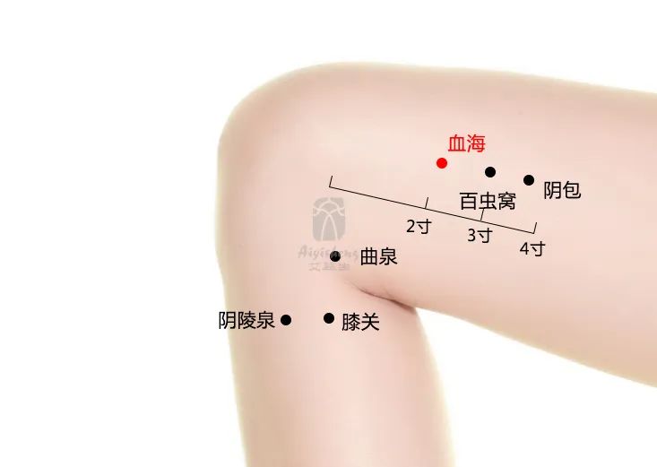 高考在即,焦虑失眠、身体不适?中医“锦囊妙计”助力考生轻装上阵 第20张