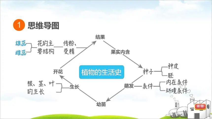 《孙雅俊 中考生物核心考点》所有课程 (超清1080p) 第1张