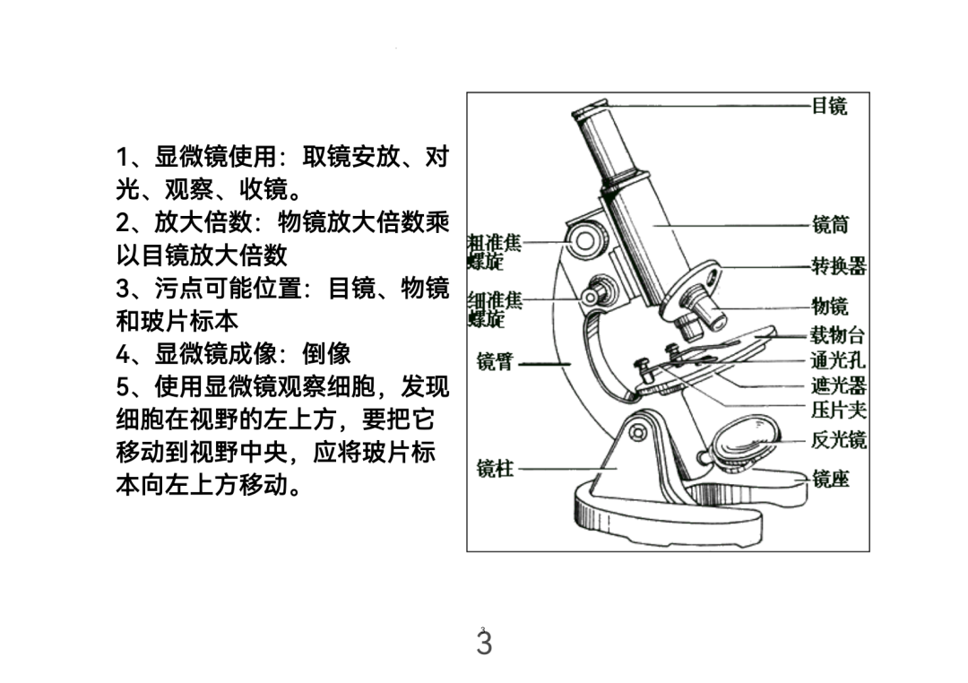 2024年中考生物考前课本重点图片回顾 第3张