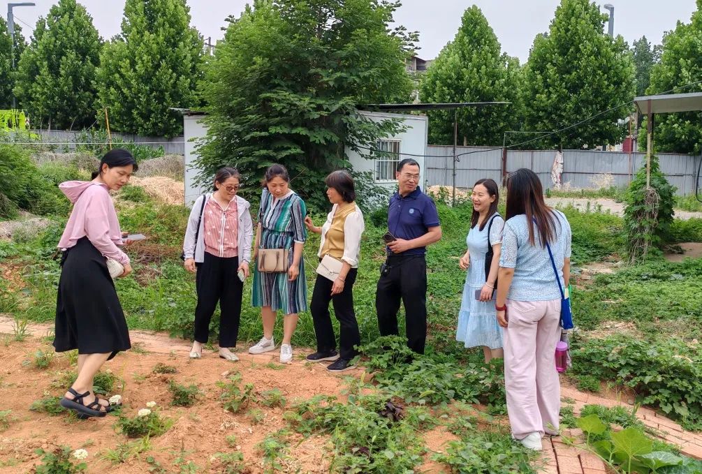 【校园动态】精准分析谋对策 提质增效备中考——2024年涧西区生物学科一模成绩分析会暨中招备考会在洛阳市高新外国语学校举行 第9张