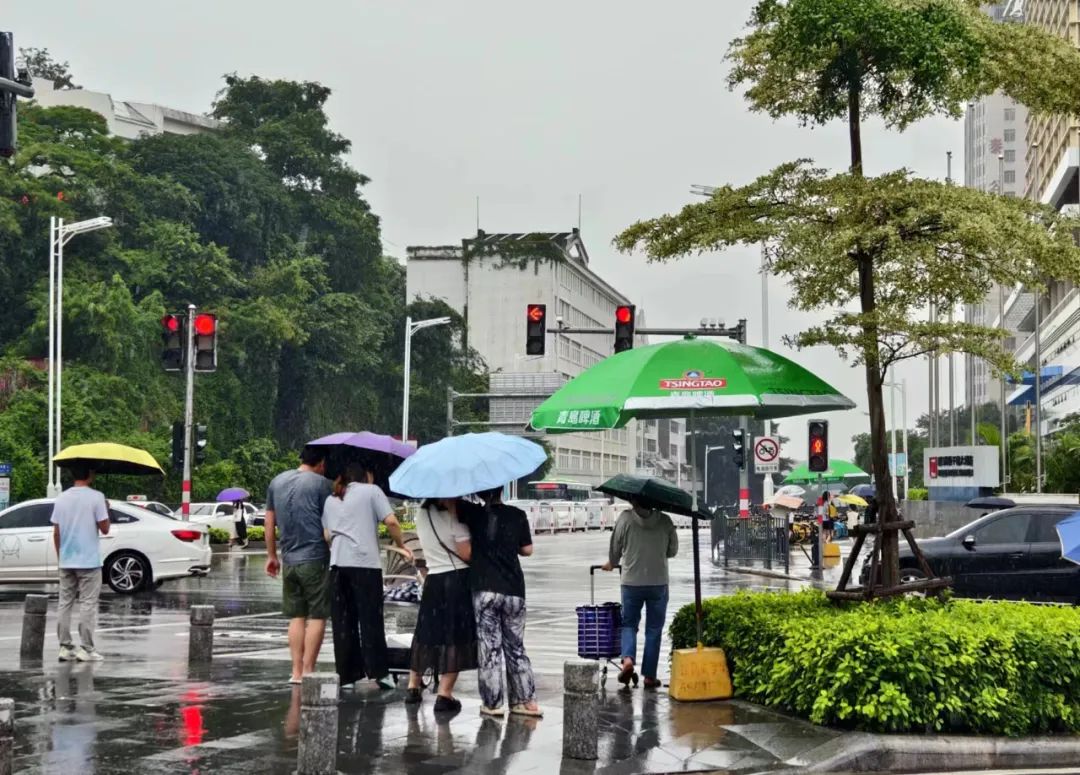 11.8℃!厦门天气大转折!雨又来了!高考期间将…… 第1张