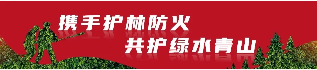 高考期间天气预报来了 第3张