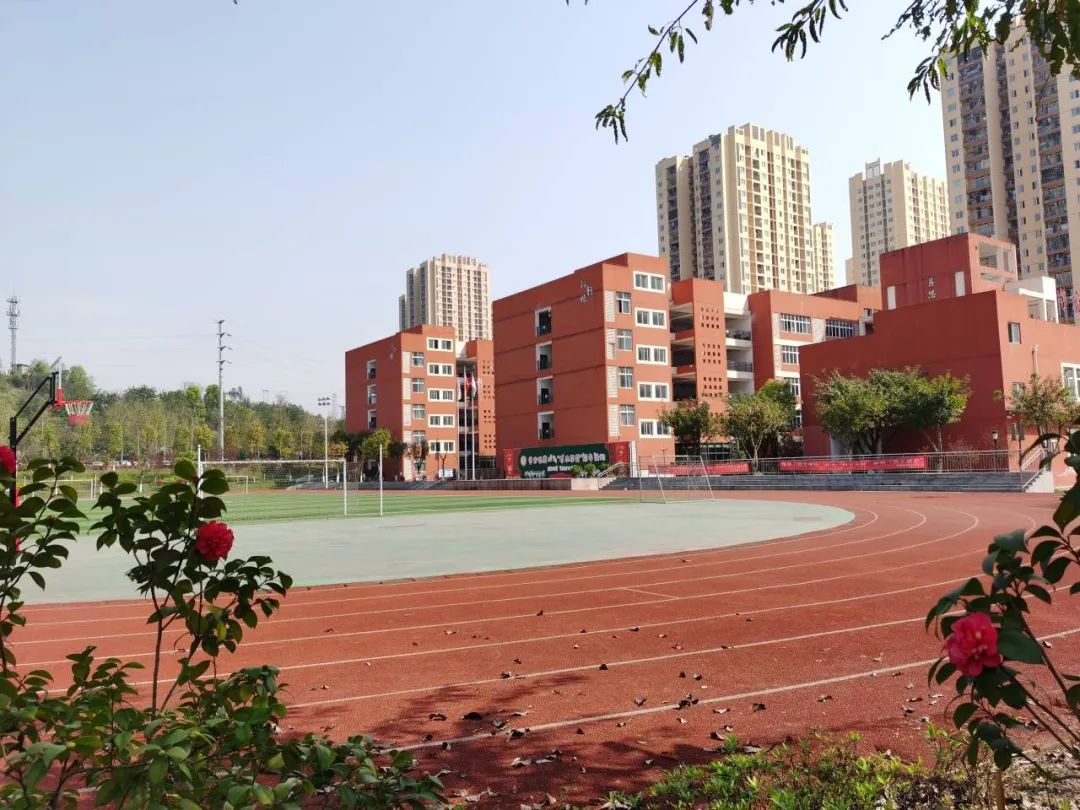 重庆市沙坪坝区学府悦园第二小学关于2024年秋季小学一年级招生工作的通告 第3张