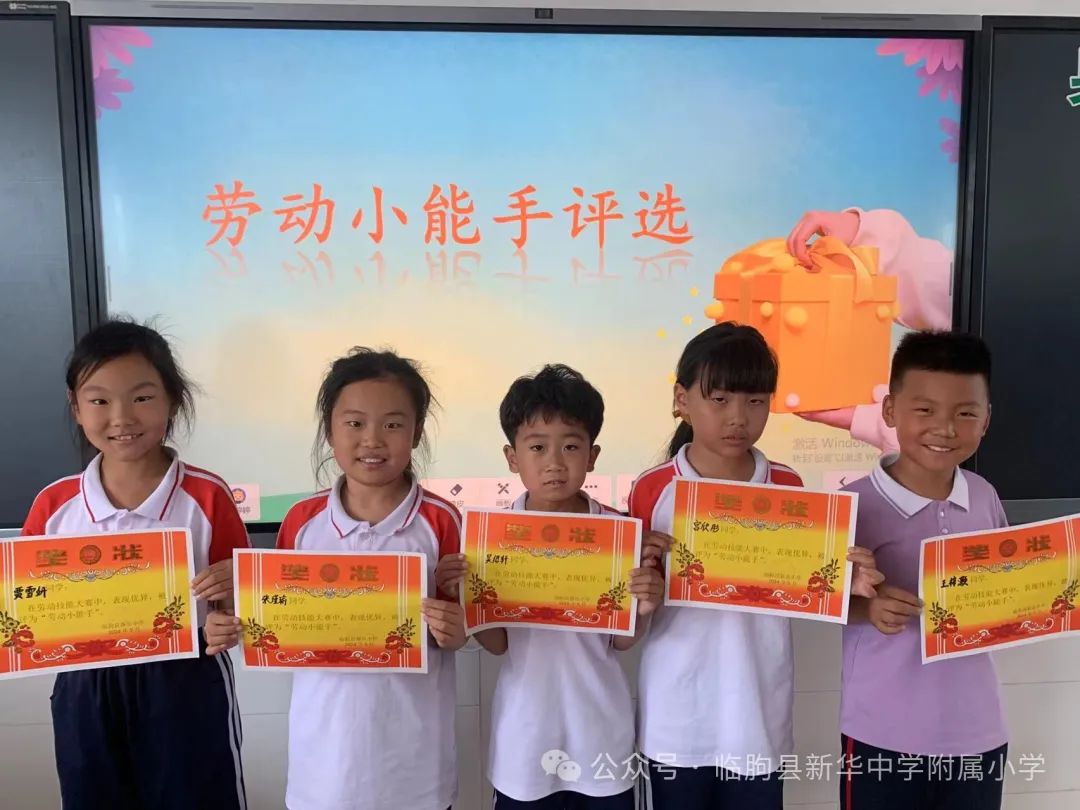 劳动的你最美——新华中学附属小学开展劳动月系列活动 第32张