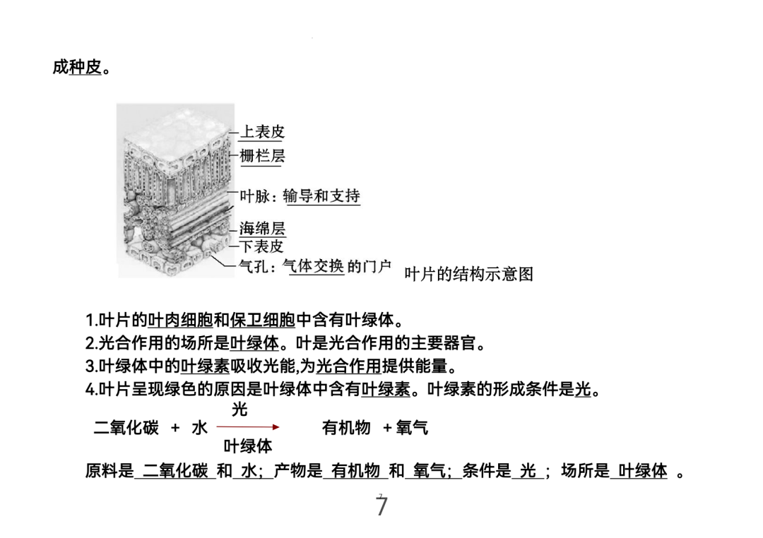 2024年中考生物考前课本重点图片回顾 第7张