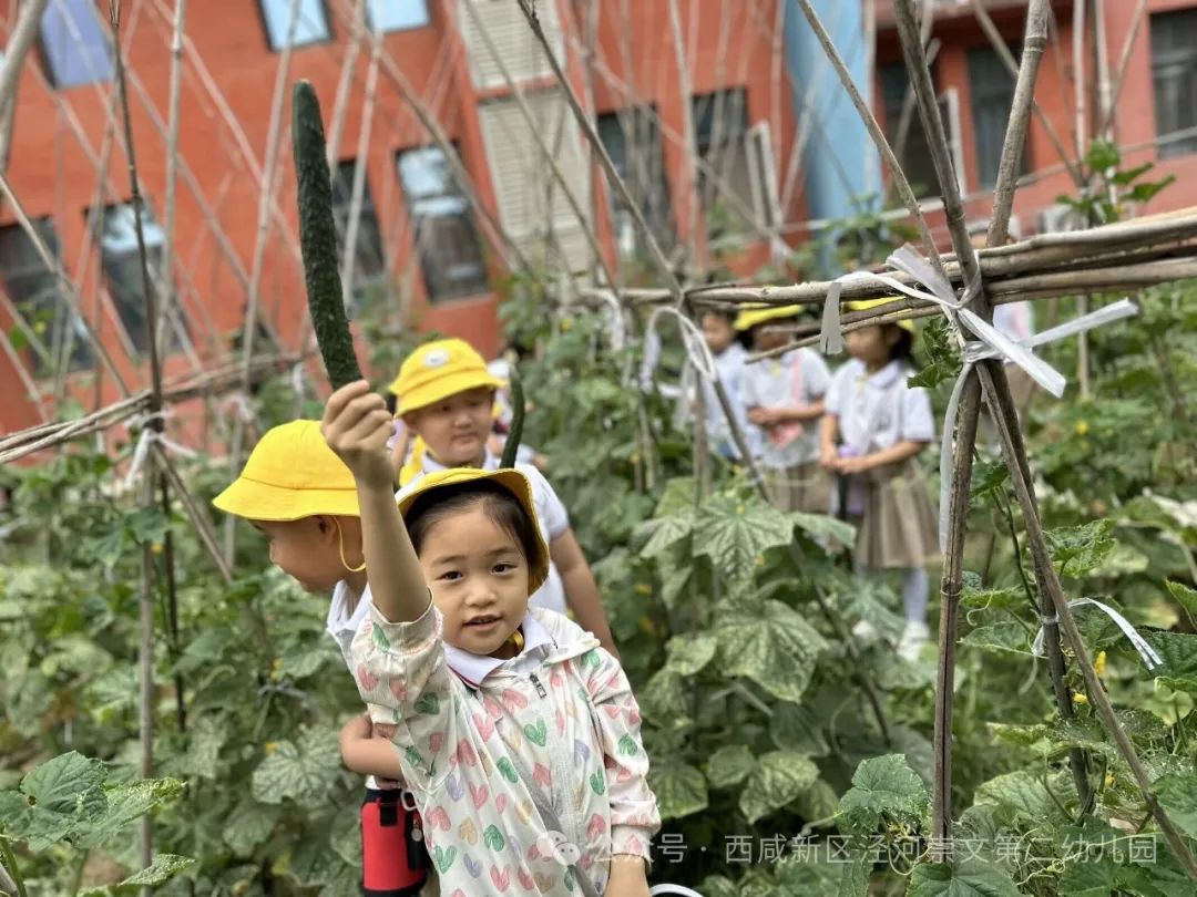 【幼小衔接】走进小学,感悟成长——西咸新区泾河崇文第二幼儿园走进小学活动纪实 第26张