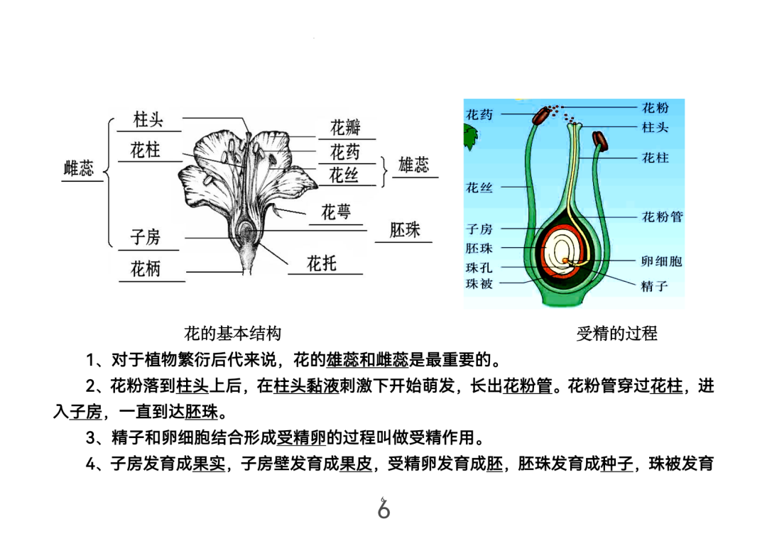 2024年中考生物考前课本重点图片回顾 第6张