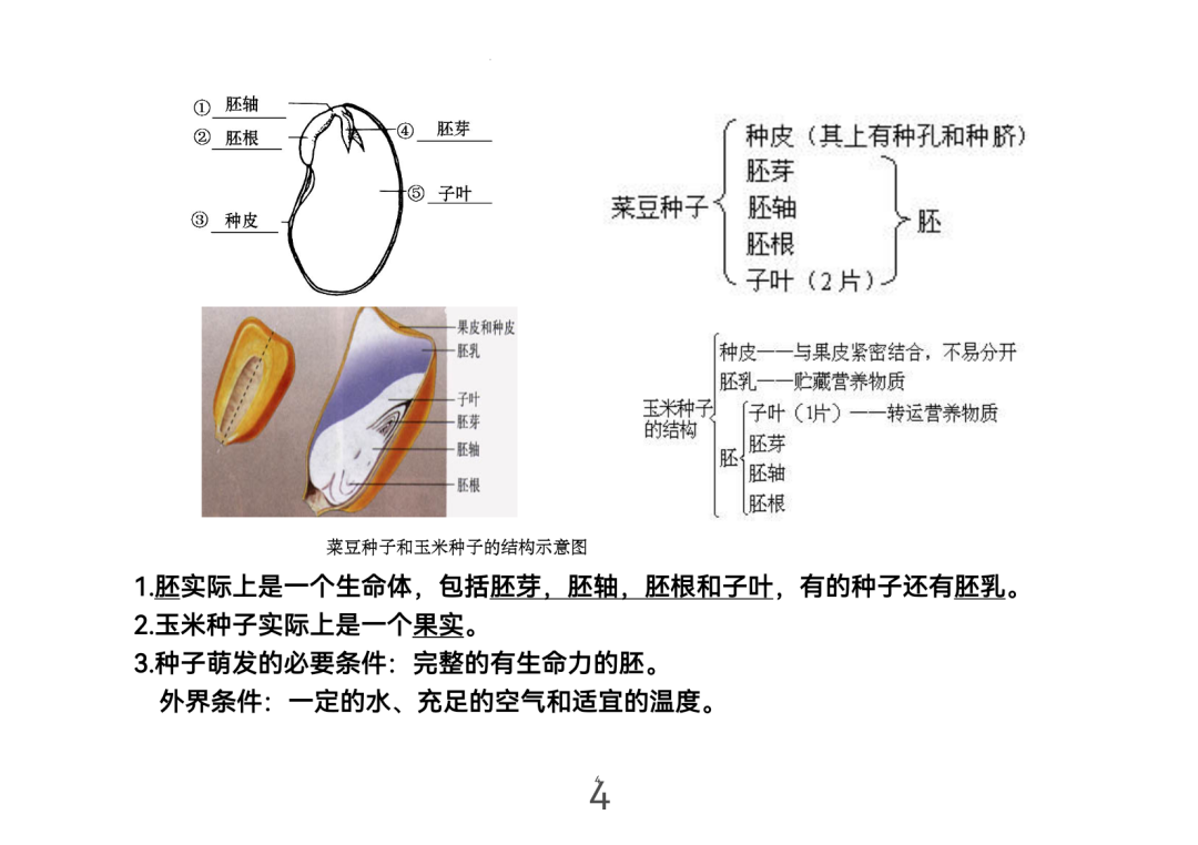 2024年中考生物考前课本重点图片回顾 第4张