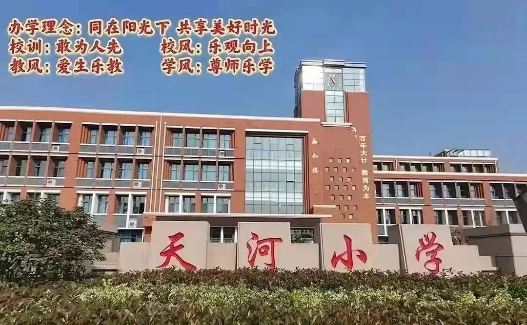 【宏阅读行动▕ 天河小学·书友会】“读”万卷之精华  “书”天下之华章——天河小学书友会阅读分享展示(第3期) 第43张