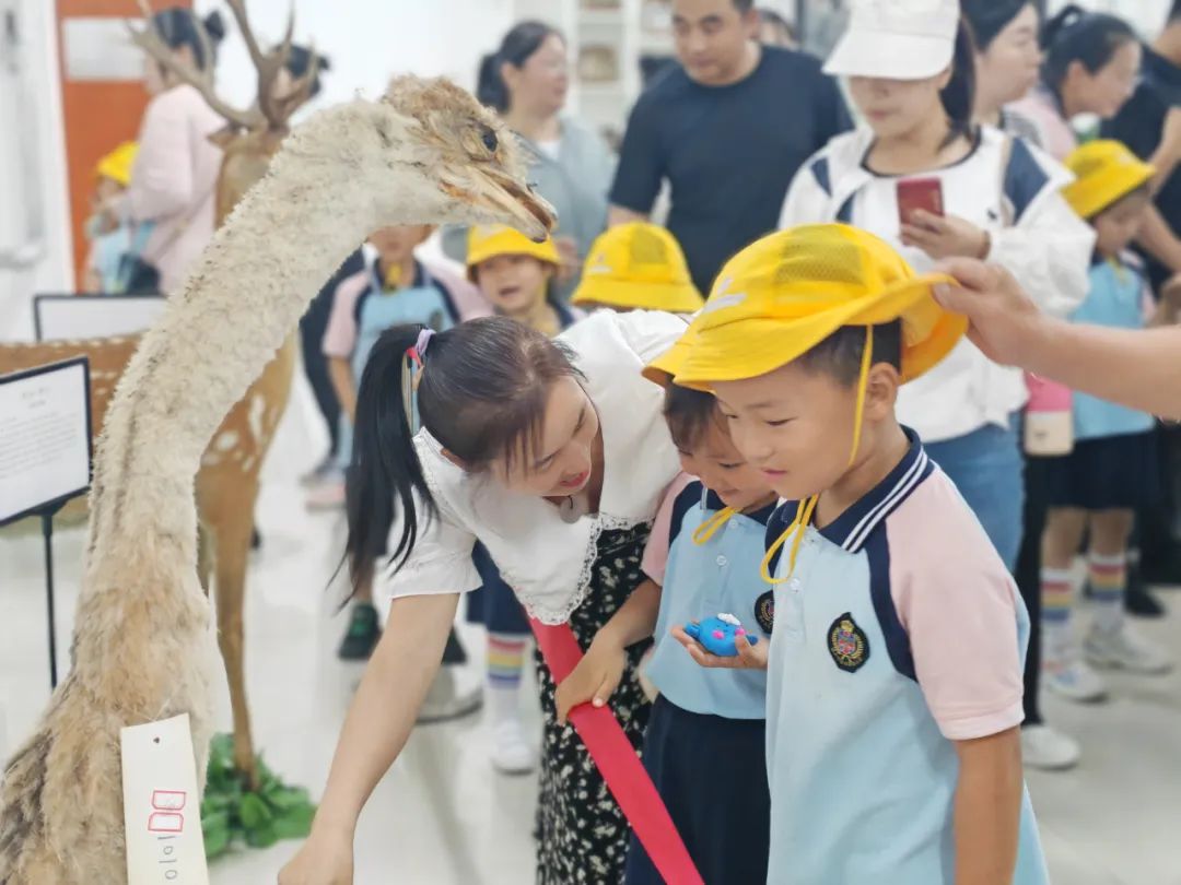 探秘小学日  筑梦向未来——魏桥创业北海幼儿园大班级部参观小学活动 第48张