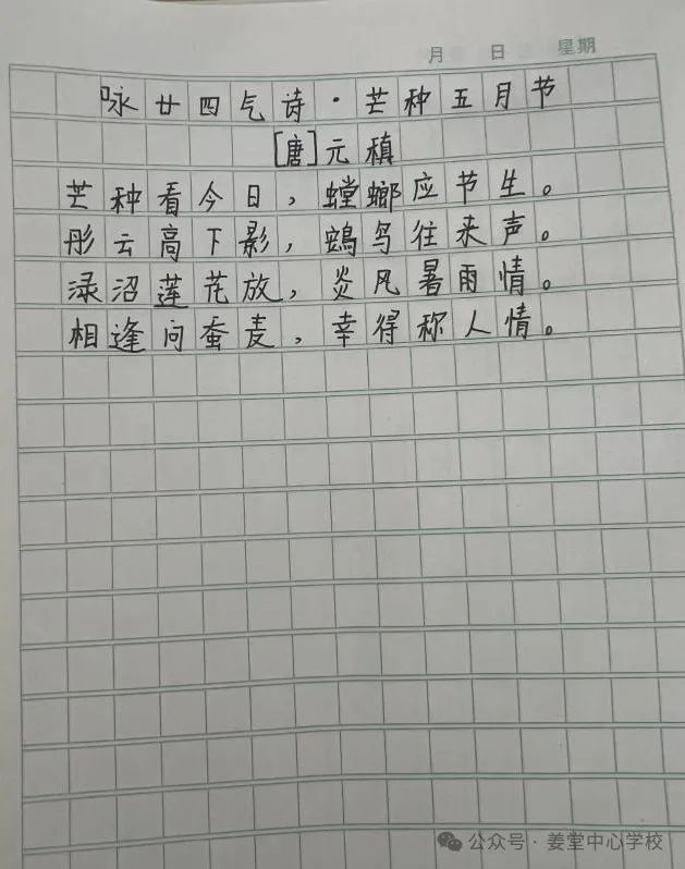 芒种芒种  连收带种——姜堂小学北校区秦杨小学“芒种”主题活动 第16张