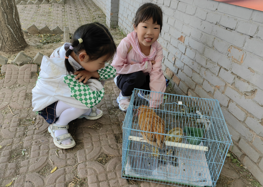 【西苑园动态】走进小学校园  科学幼小衔接 ——榆次七幼教育集团西苑园大班幼儿走进小学 第11张