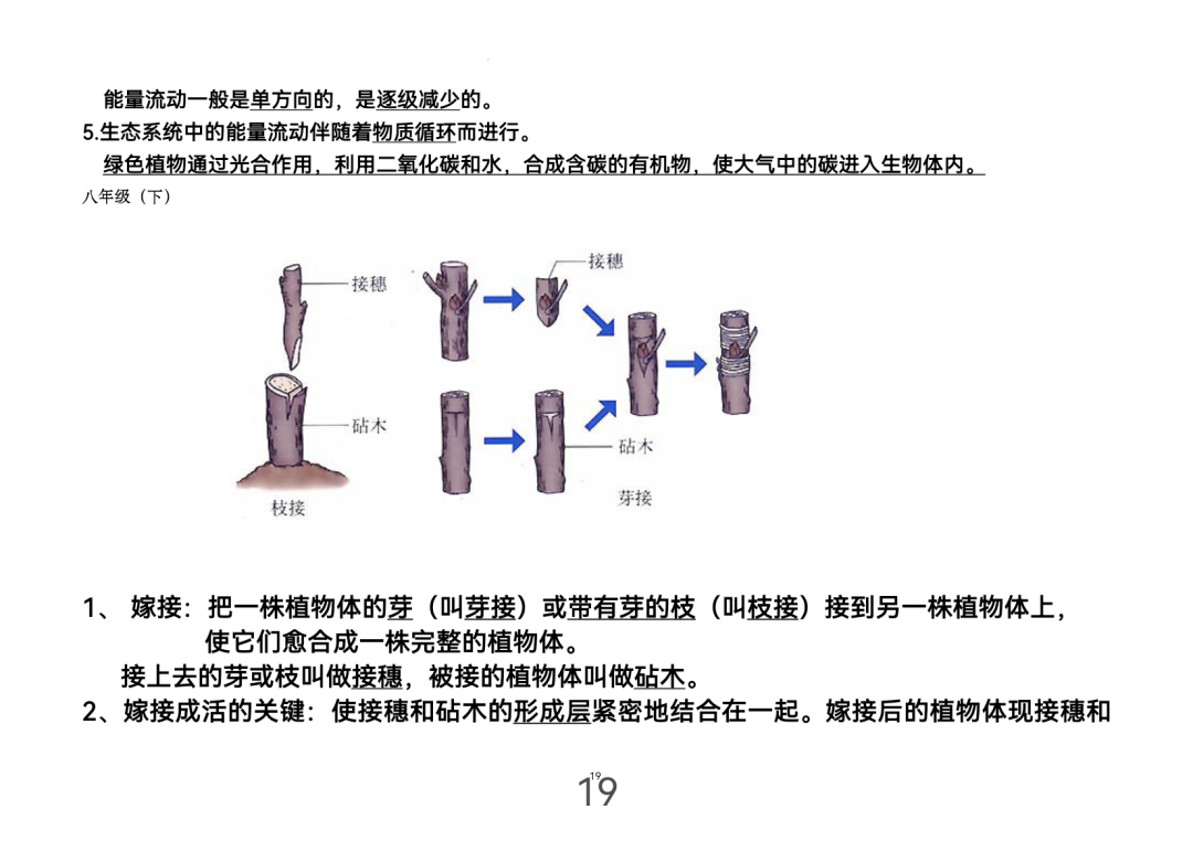 2024年中考生物考前课本重点图片回顾 第20张