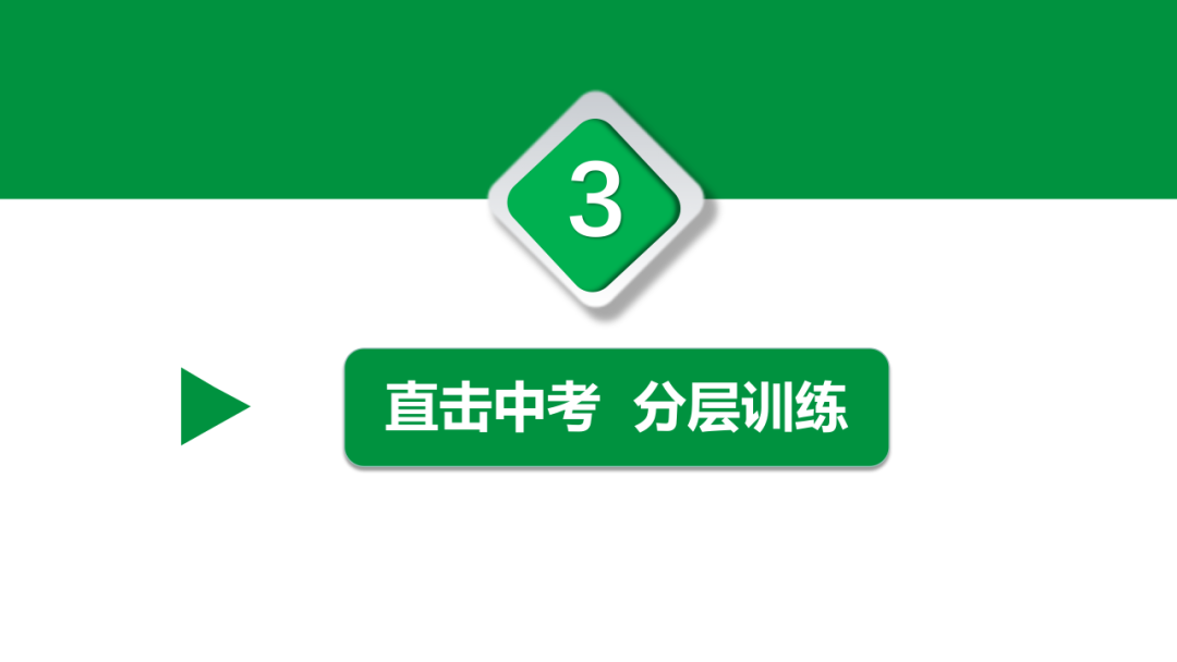 中考语文专题复习——古诗阅读专项复习ppt 第29张