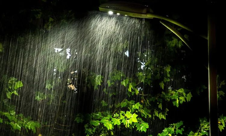 雨 夜 | 美文欣赏(含中考阅读训练题) 第1张