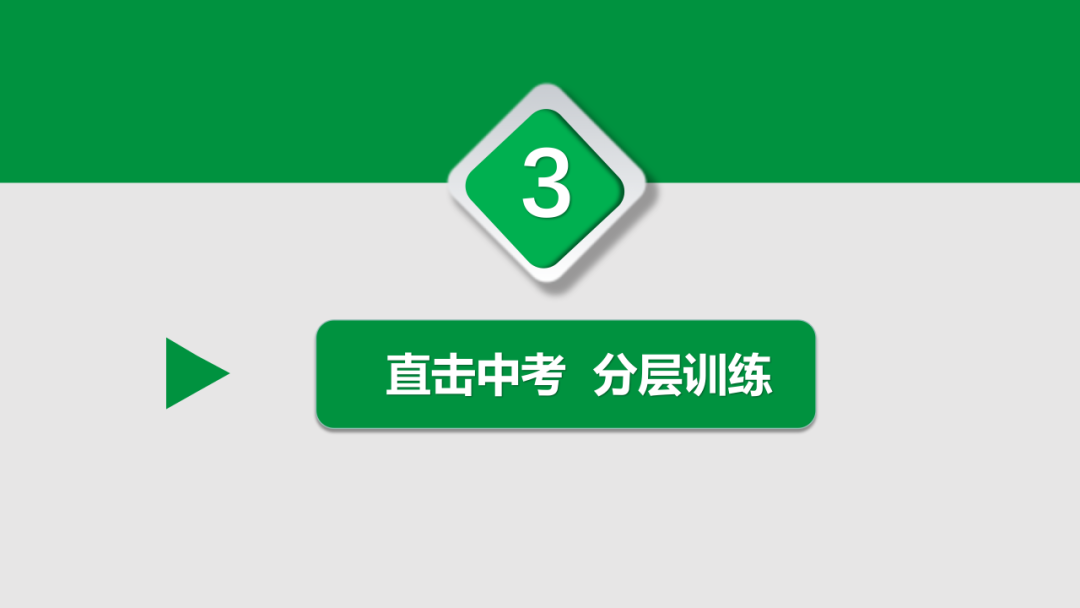 中考语文专题复习——古诗阅读专项复习ppt 第13张