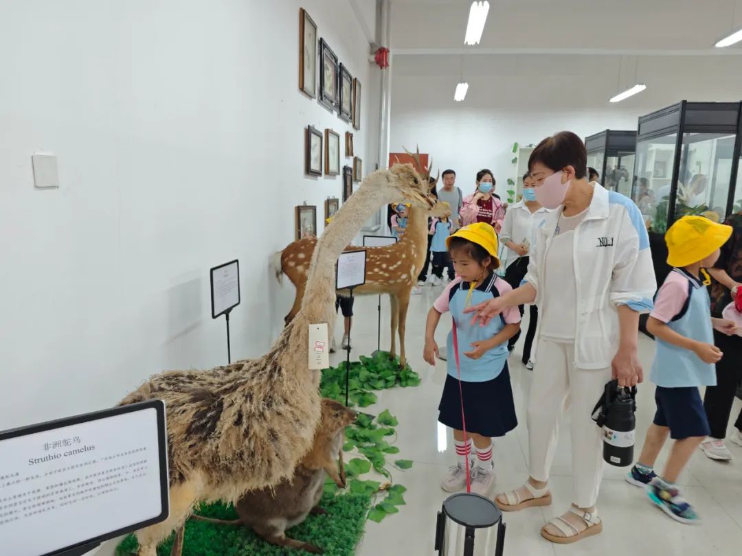 探秘小学日  筑梦向未来——魏桥创业北海幼儿园大班级部参观小学活动 第42张