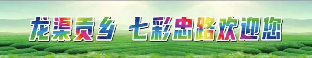 利川市忠路镇老屋基小学举行庆“六一”活动 第5张