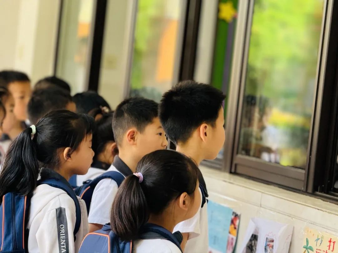 探秘小学,快乐衔接 第13张