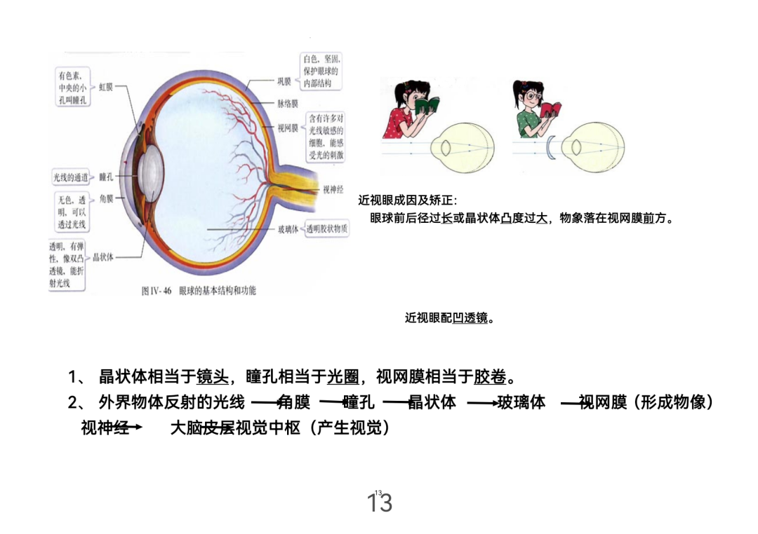 2024年中考生物考前课本重点图片回顾 第13张