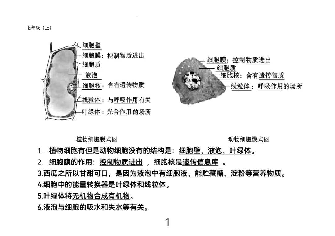 2024年中考生物考前课本重点图片回顾 第1张