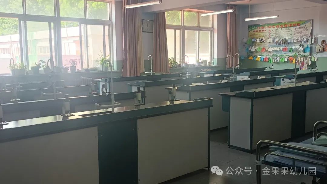 参观北湖小学 第15张