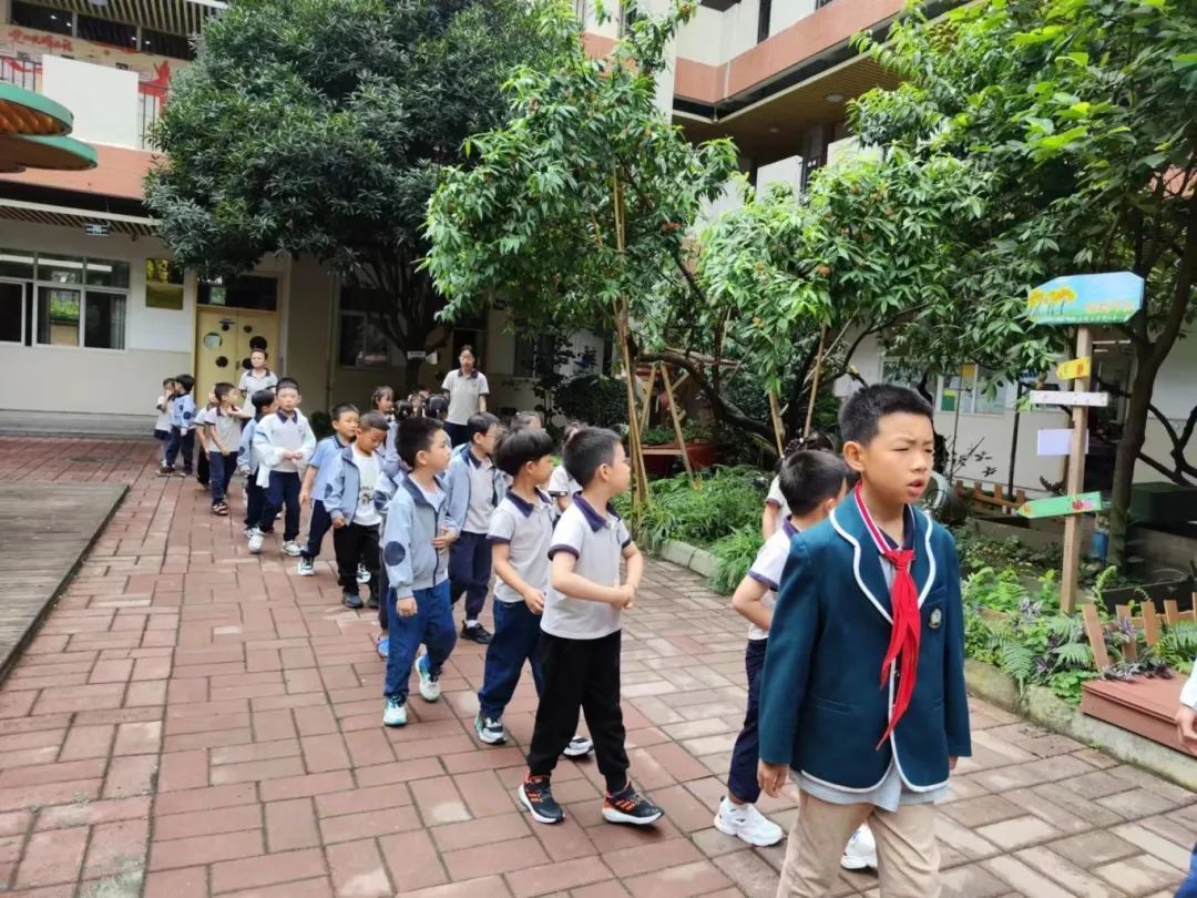 初探小学,礼遇成长 第26张